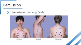 Topic 14 - Inspection of the chest [Autosaved].pptx