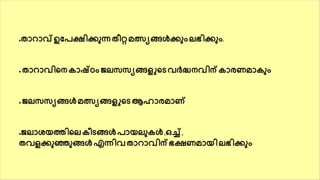 ●താറാവ്ഉയരക്ഷികുന്ന തീറ്റമത്സ്യങ്ങൾകുും ലഭികുും.
● താറാവികന കാഷ്ഠും ജലസസയങ്ങളുകെ വർദ്ധനവിന് കാരണമാകുും
● ജലസസയങ്ങൾ മത്സ്യങ്ങളുകെ ആഹാരമാണ്
●ജലാശ ത്തികല കീെങ്ങൾരാ ലുകൾ ,ഒച്ച് ,
തവളകുഞ്ഞുങ്ങൾ എന്നിവ താറാവിന് ഭക്ഷണമാ ി ലഭികുും
 