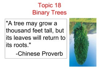 Topic 18
Binary Trees
"A tree may grow a
thousand feet tall, but
its leaves will return to
its roots."
-Chinese Proverb
 
