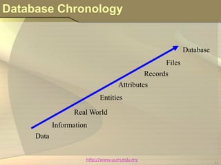 Multimedia Database | PPTX