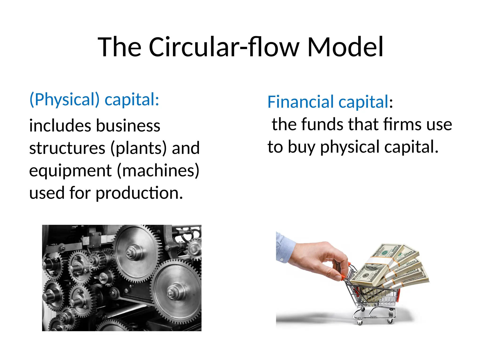 The Circular-flow Model
(Physical) capital:
includes business
structures (plants) and
equipment (machines)
used for production.
Financial capital:
the funds that firms use
to buy physical capital.
 