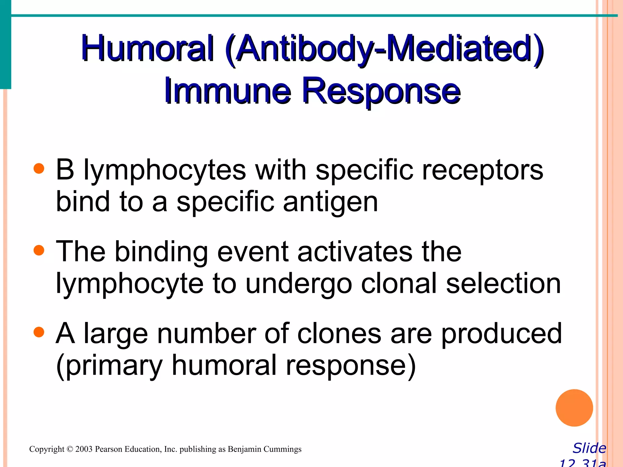Humoral (Antibody-Mediated)
                Immune Response

• B lymphocytes with specific receptors
  bind to a specific antigen
• The binding event activates the
  lymphocyte to undergo clonal selection
• A large number of clones are produced
  (primary humoral response)

Copyright © 2003 Pearson Education, Inc. publishing as Benjamin Cummings   Slide
 
