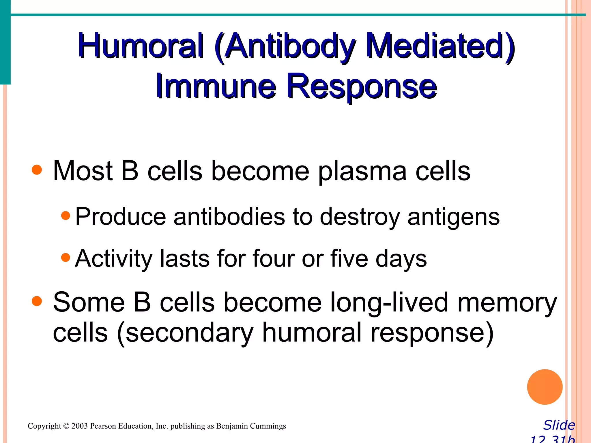 Humoral (Antibody Mediated)
                Immune Response

• Most B cells become plasma cells
        • Produce antibodies to destroy antigens
        • Activity lasts for four or five days
• Some B cells become long-lived memory
  cells (secondary humoral response)


Copyright © 2003 Pearson Education, Inc. publishing as Benjamin Cummings   Slide
 