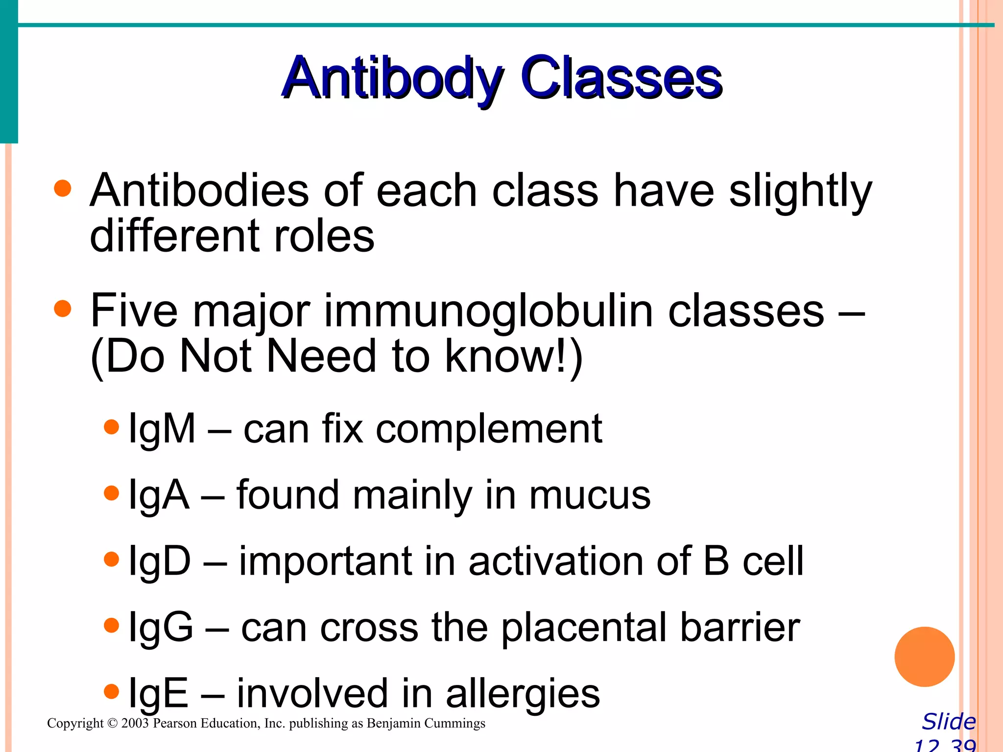 Antibody Classes
• Antibodies of each class have slightly
  different roles
• Five major immunoglobulin classes –
  (Do Not Need to know!)
        • IgM – can fix complement
        • IgA – found mainly in mucus
        • IgD – important in activation of B cell
        • IgG – can cross the placental barrier
        • IgE – involved in allergies
Copyright © 2003 Pearson Education, Inc. publishing as Benjamin Cummings   Slide
 