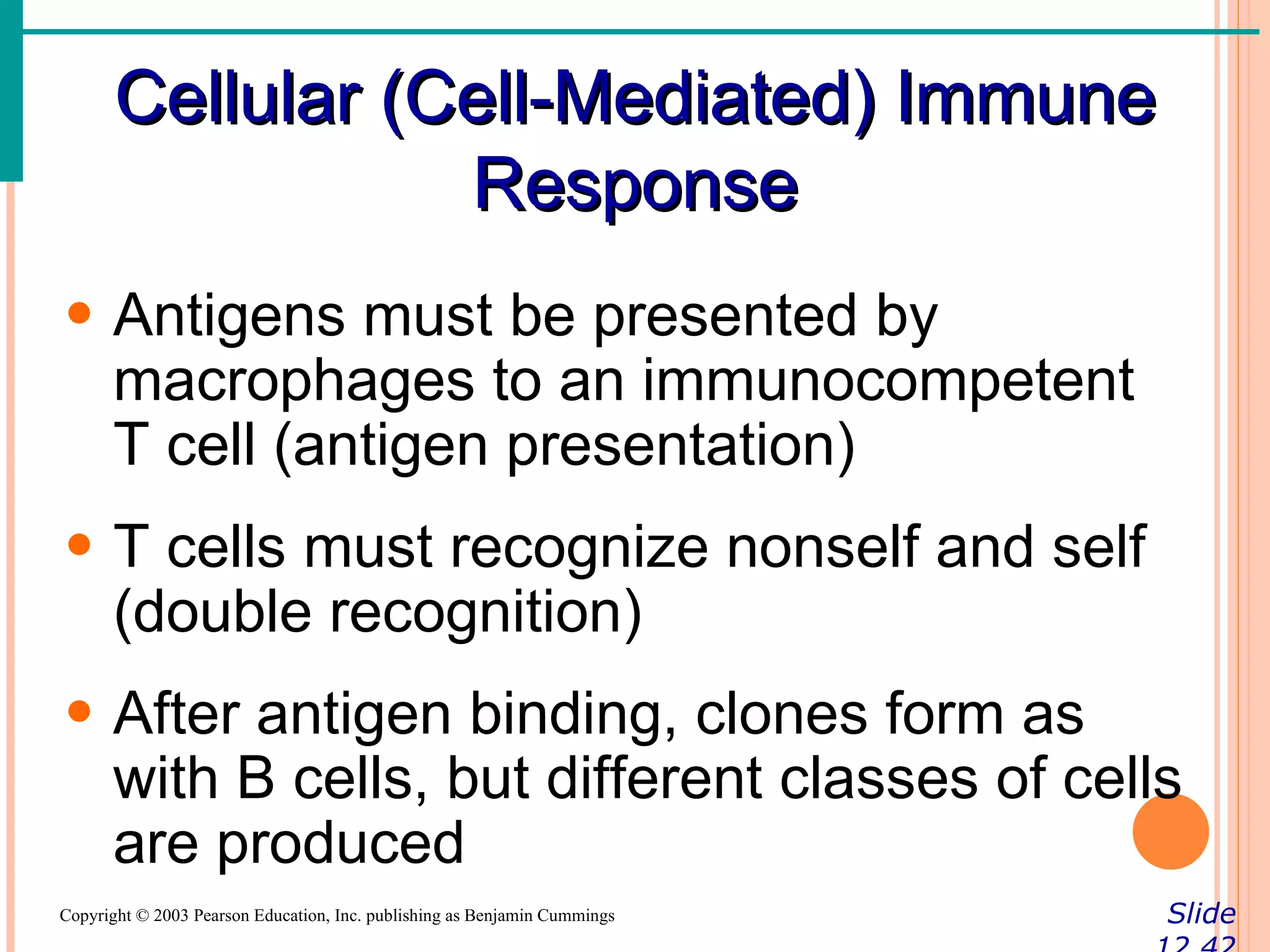 Cellular (Cell-Mediated) Immune
                  Response
• Antigens must be presented by
  macrophages to an immunocompetent
  T cell (antigen presentation)
• T cells must recognize nonself and self
  (double recognition)
• After antigen binding, clones form as
  with B cells, but different classes of cells
  are produced
Copyright © 2003 Pearson Education, Inc. publishing as Benjamin Cummings   Slide
 