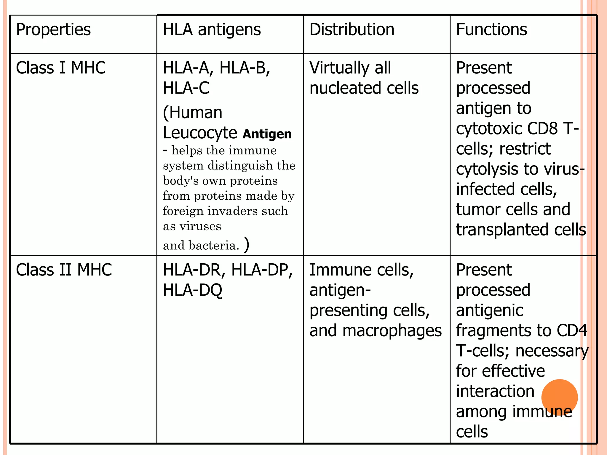 Properties     HLA antigens             Distribution      Functions

Class I MHC    HLA-A, HLA-B,            Virtually all     Present
               HLA-C                    nucleated cells   processed
               (Human                                     antigen to
               Leucocyte Antigen                          cytotoxic CD8 T-
               - helps the immune                         cells; restrict
               system distinguish the                     cytolysis to virus-
               body's own proteins
               from proteins made by                      infected cells,
               foreign invaders such                      tumor cells and
               as viruses                                 transplanted cells
               and bacteria. )

Class II MHC   HLA-DR, HLA-DP, Immune cells,              Present
               HLA-DQ          antigen-                   processed
                               presenting cells,          antigenic
                               and macrophages            fragments to CD4
                                                          T-cells; necessary
                                                          for effective
                                                          interaction
                                                          among immune
                                                          cells
 