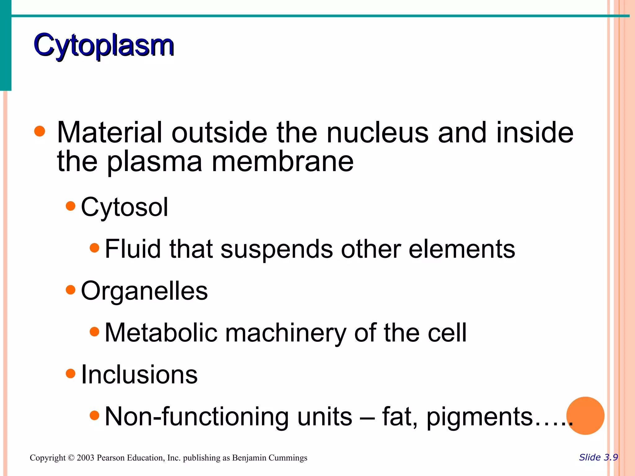 Cytoplasm

• Material outside the nucleus and inside
  the plasma membrane
        • Cytosol
               • Fluid that suspends other elements
        • Organelles
               • Metabolic machinery of the cell
        • Inclusions
               • Non-functioning units – fat, pigments…..
Copyright © 2003 Pearson Education, Inc. publishing as Benjamin Cummings   Slide 3.9
 
