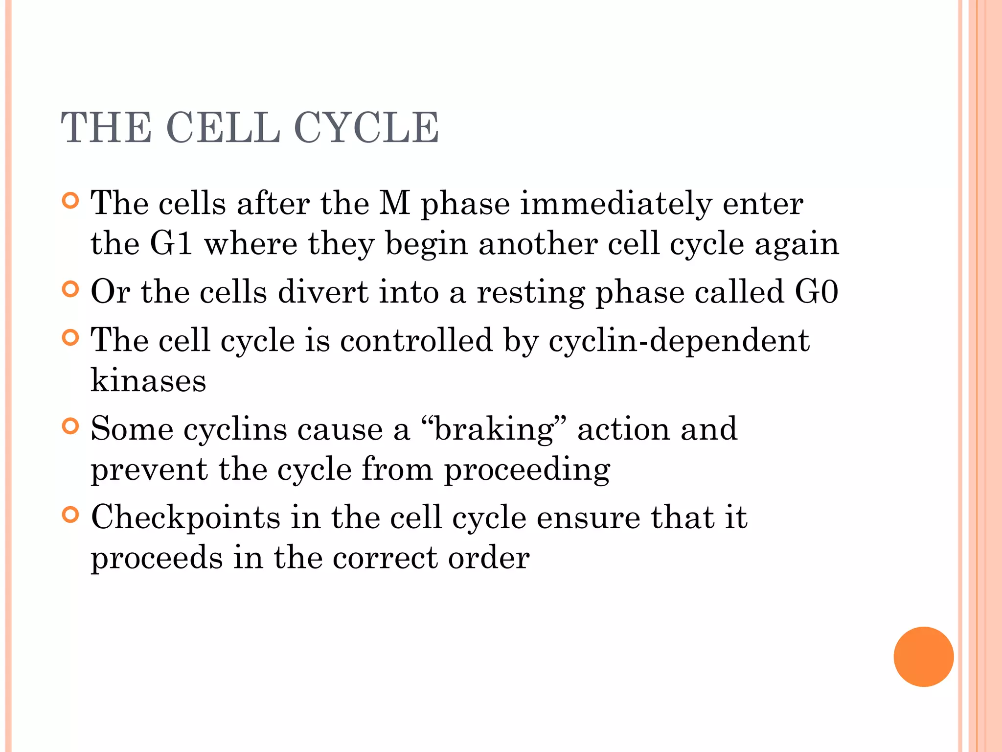 THE CELL CYCLE
 The cells after the M phase immediately enter
  the G1 where they begin another cell cycle again
 Or the cells divert into a resting phase called G0

 The cell cycle is controlled by cyclin-dependent
  kinases
 Some cyclins cause a “braking” action and
  prevent the cycle from proceeding
 Checkpoints in the cell cycle ensure that it
  proceeds in the correct order
 