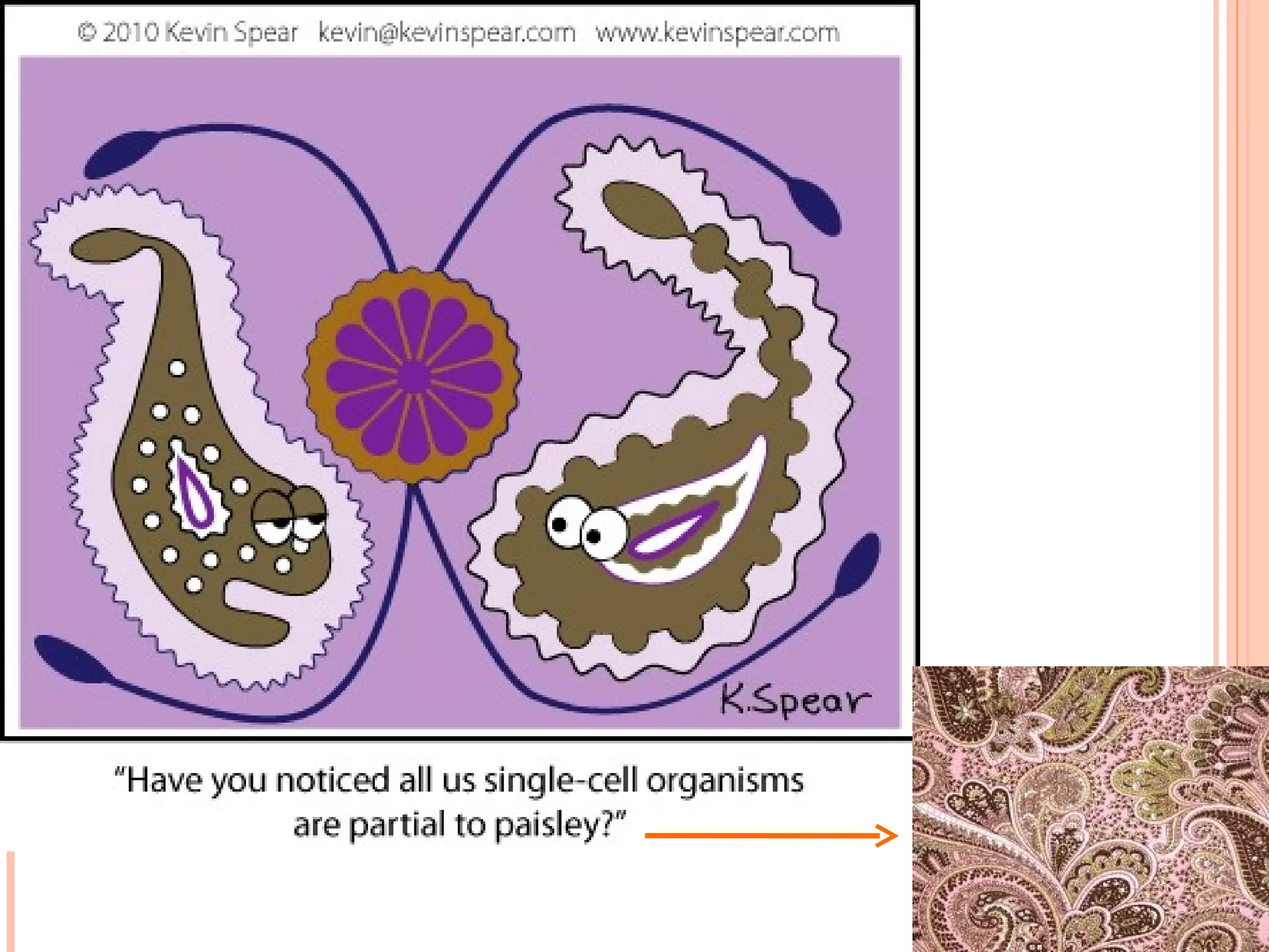 Topic 1 Cellular Abberation