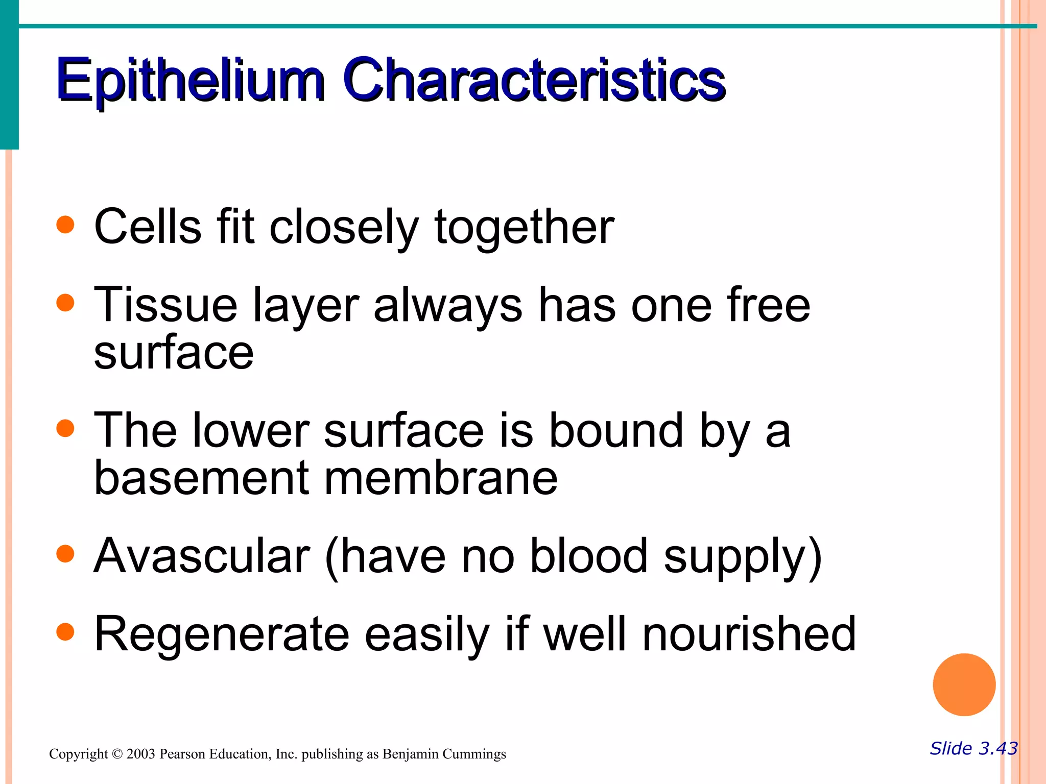 Epithelium Characteristics

• Cells fit closely together
• Tissue layer always has one free
  surface
• The lower surface is bound by a
  basement membrane
• Avascular (have no blood supply)
• Regenerate easily if well nourished

Copyright © 2003 Pearson Education, Inc. publishing as Benjamin Cummings   Slide 3.43
 