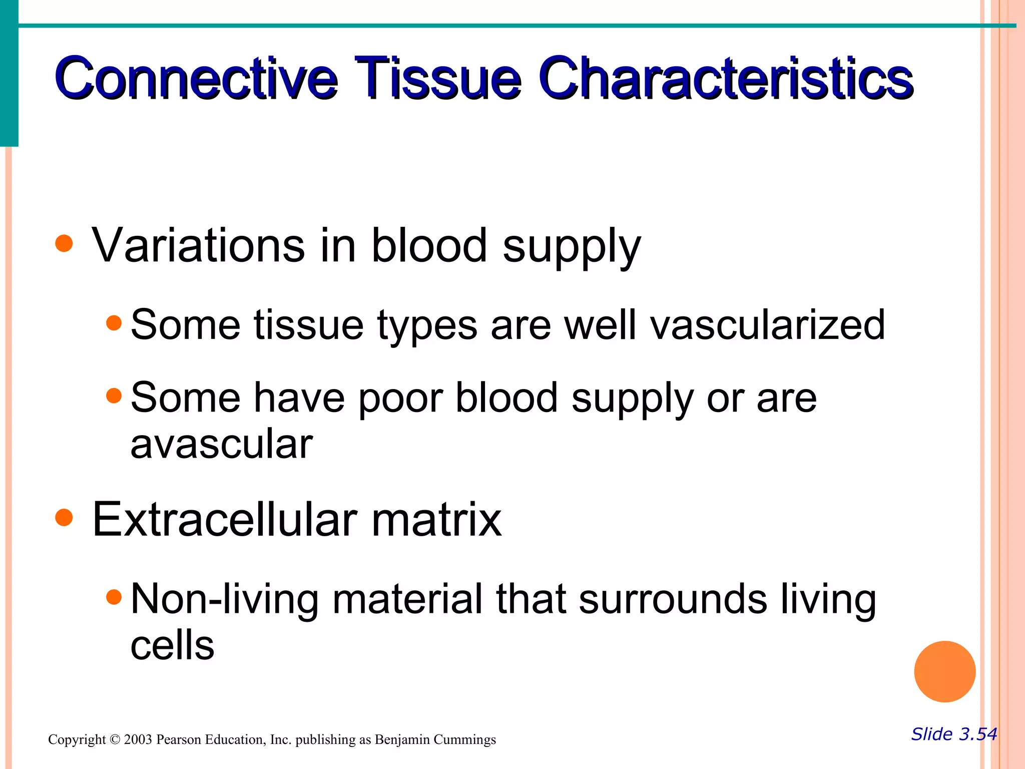 Connective Tissue Characteristics

• Variations in blood supply
        • Some tissue types are well vascularized
        • Some have poor blood supply or are
          avascular
• Extracellular matrix
        • Non-living material that surrounds living
          cells
Copyright © 2003 Pearson Education, Inc. publishing as Benjamin Cummings   Slide 3.54
 