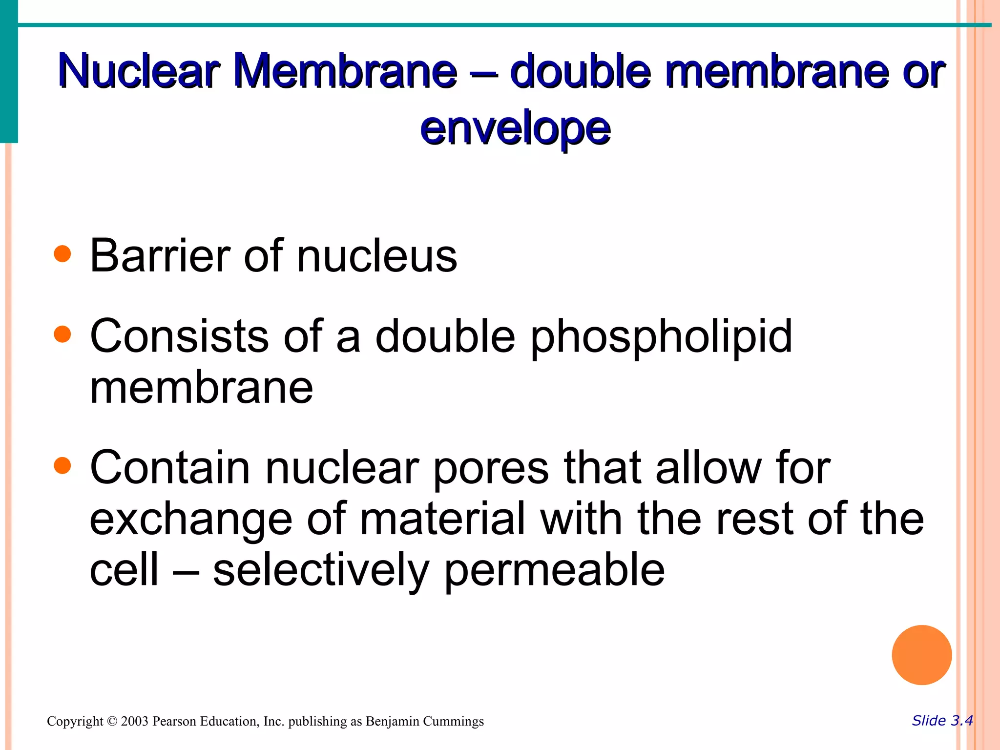 Nuclear Membrane – double membrane or
                envelope

• Barrier of nucleus
• Consists of a double phospholipid
  membrane
• Contain nuclear pores that allow for
  exchange of material with the rest of the
  cell – selectively permeable

Copyright © 2003 Pearson Education, Inc. publishing as Benjamin Cummings   Slide 3.4
 