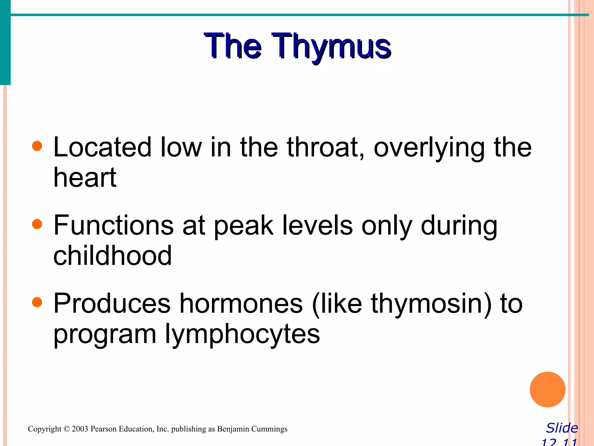 The Thymus

• Located low in the throat, overlying the
  heart
• Functions at peak levels only during
  childhood
• Produces hormones (like thymosin) to
  program lymphocytes


Copyright © 2003 Pearson Education, Inc. publishing as Benjamin Cummings   Slide
 