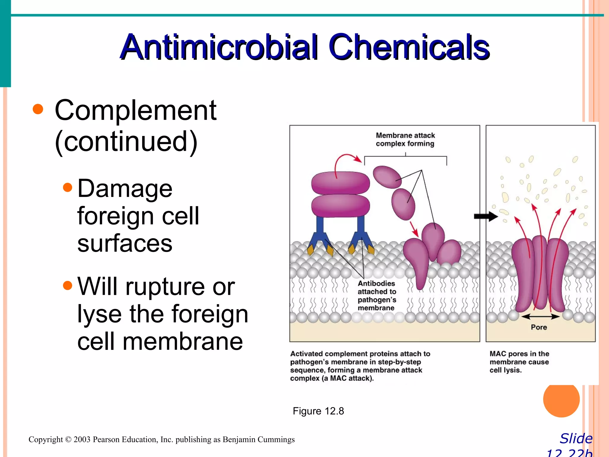 Antimicrobial Chemicals
• Complement
  (continued)
        • Damage
          foreign cell
          surfaces
        • Will rupture or
          lyse the foreign
          cell membrane

                                                                       Figure 12.8

Copyright © 2003 Pearson Education, Inc. publishing as Benjamin Cummings             Slide
 