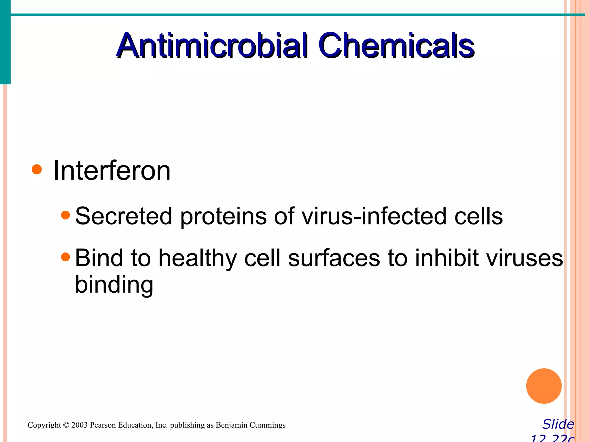Antimicrobial Chemicals


• Interferon
        • Secreted proteins of virus-infected cells
        • Bind to healthy cell surfaces to inhibit viruses
          binding




Copyright © 2003 Pearson Education, Inc. publishing as Benjamin Cummings   Slide
 