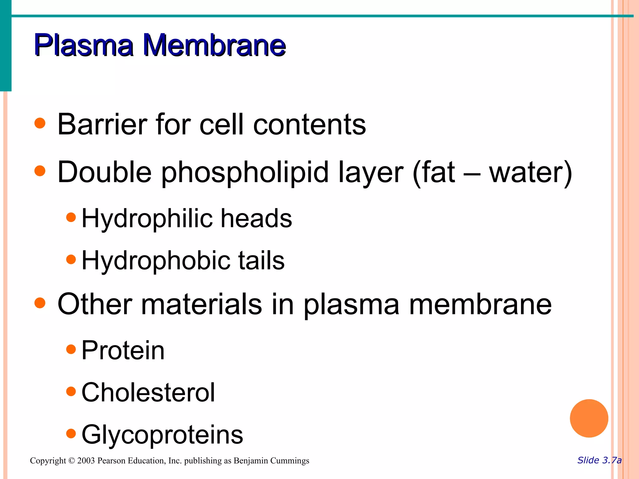 Plasma Membrane

• Barrier for cell contents
• Double phospholipid layer (fat – water)
        • Hydrophilic heads
        • Hydrophobic tails
• Other materials in plasma membrane
        • Protein
        • Cholesterol
        • Glycoproteins
Copyright © 2003 Pearson Education, Inc. publishing as Benjamin Cummings   Slide 3.7a
 
