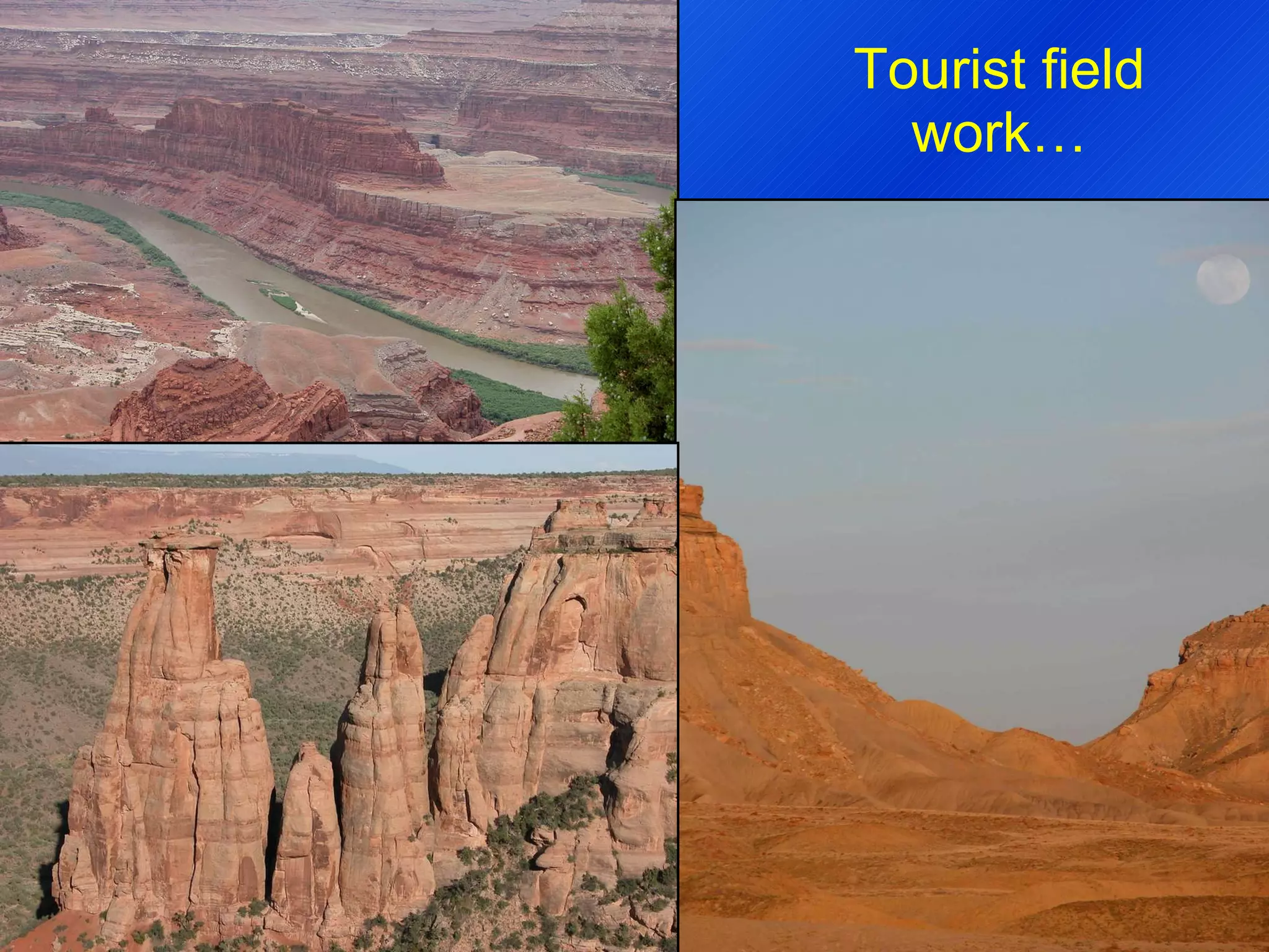 Tourist field work… 