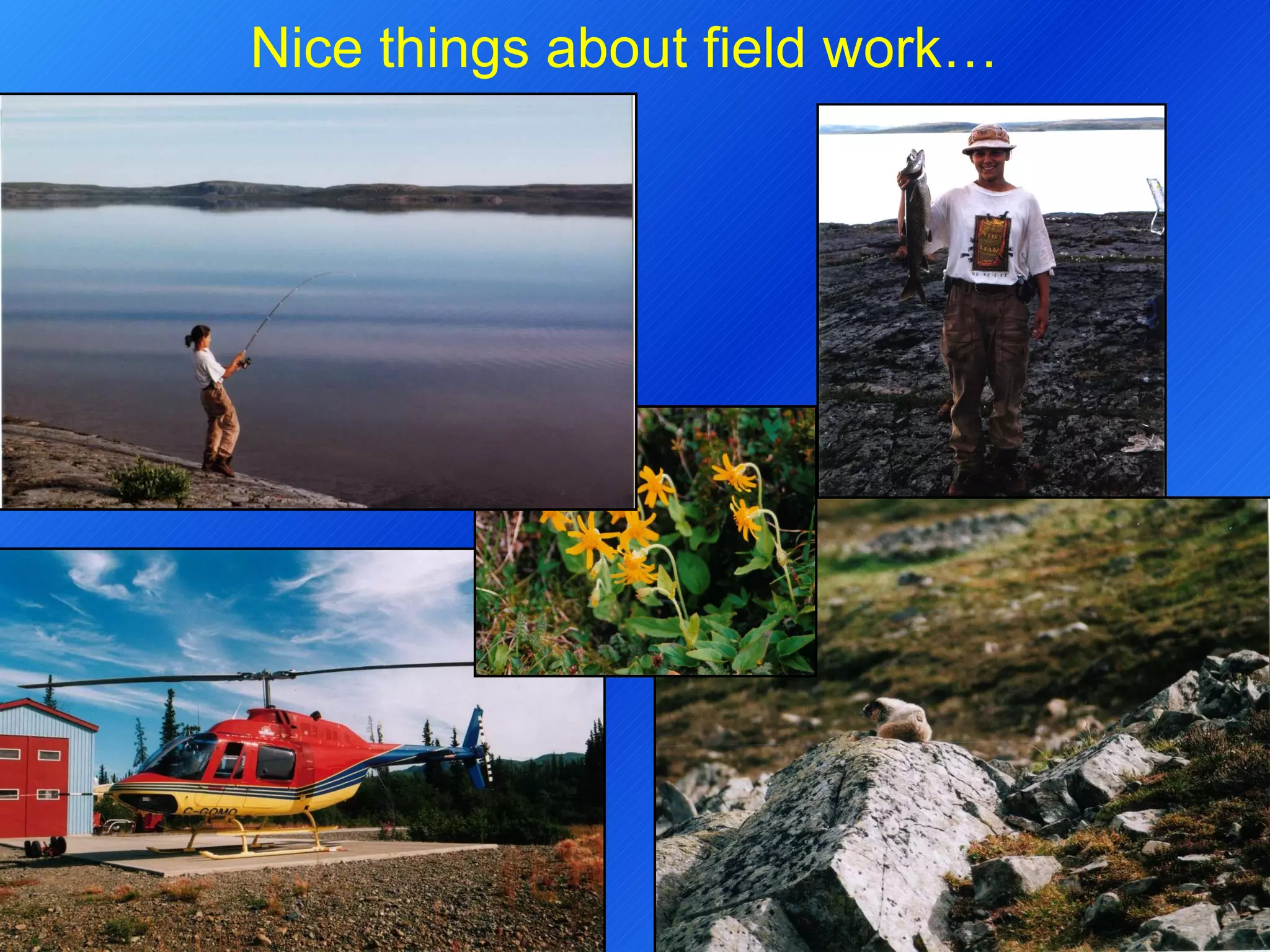 Nice things about field work… 