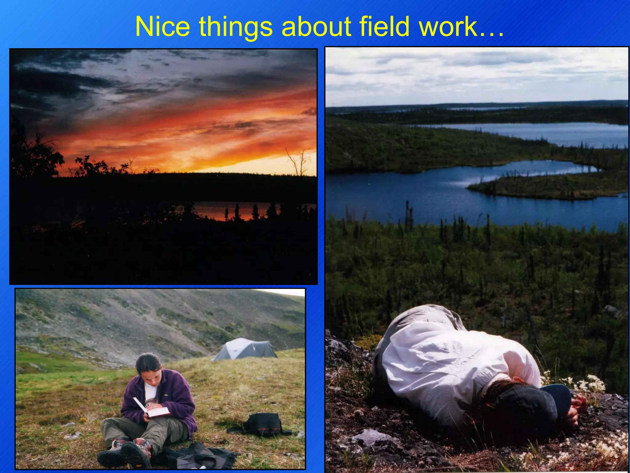 Nice things about field work… 