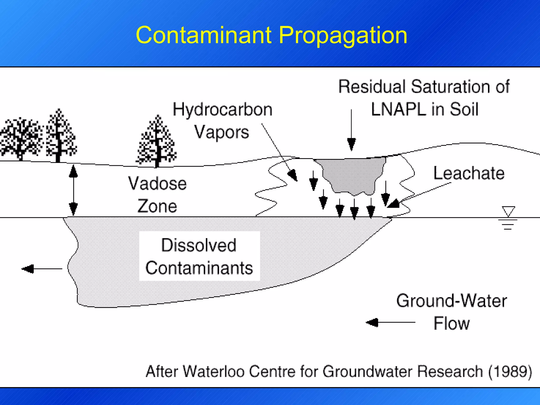 Contaminant Propagation 