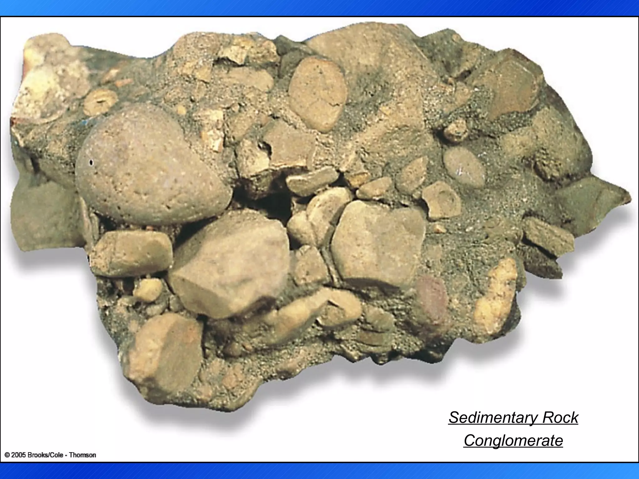 Sedimentary Rock Conglomerate 