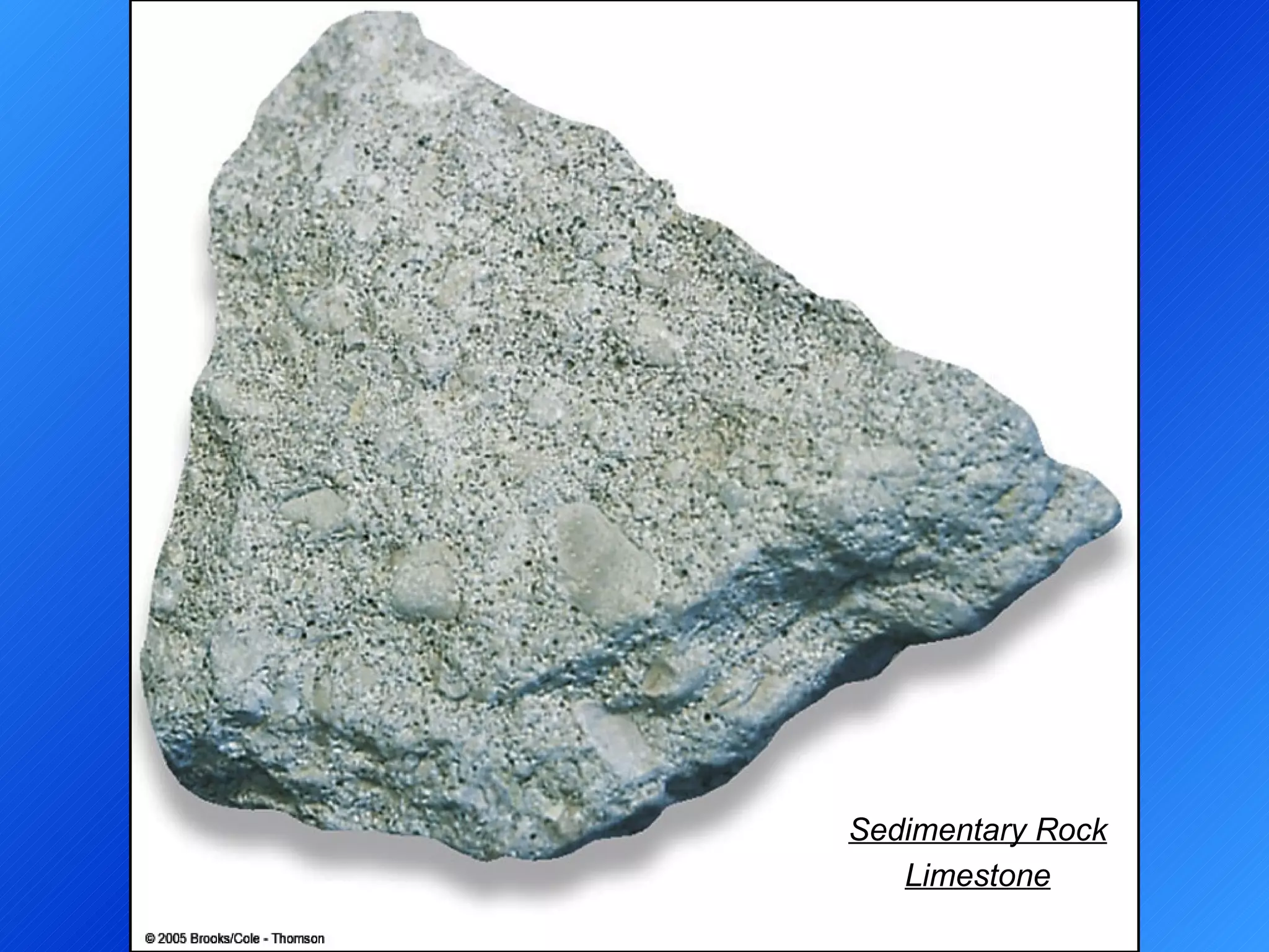 Sedimentary Rock Limestone 