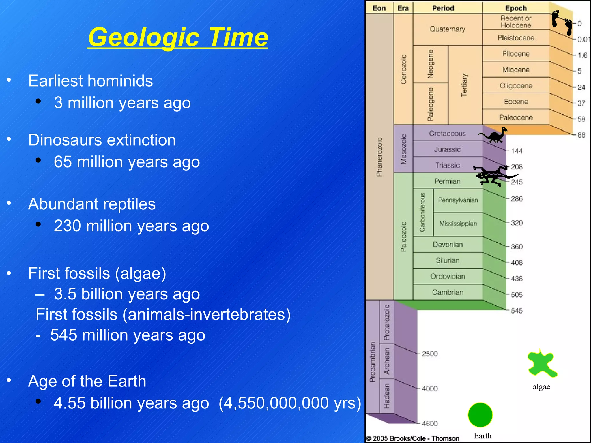 First fossils (algae) 3.5 billion years ago First fossils (animals-invertebrates) -  545 million years ago Geologic Time Age of the Earth 4.55 billion years ago  (4,550,000,000 yrs) Dinosaurs extinction 65 million years ago Abundant reptiles 230 million years ago Earliest hominids 3 million years ago Earth algae 