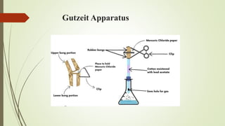 Gutzeit Apparatus
 