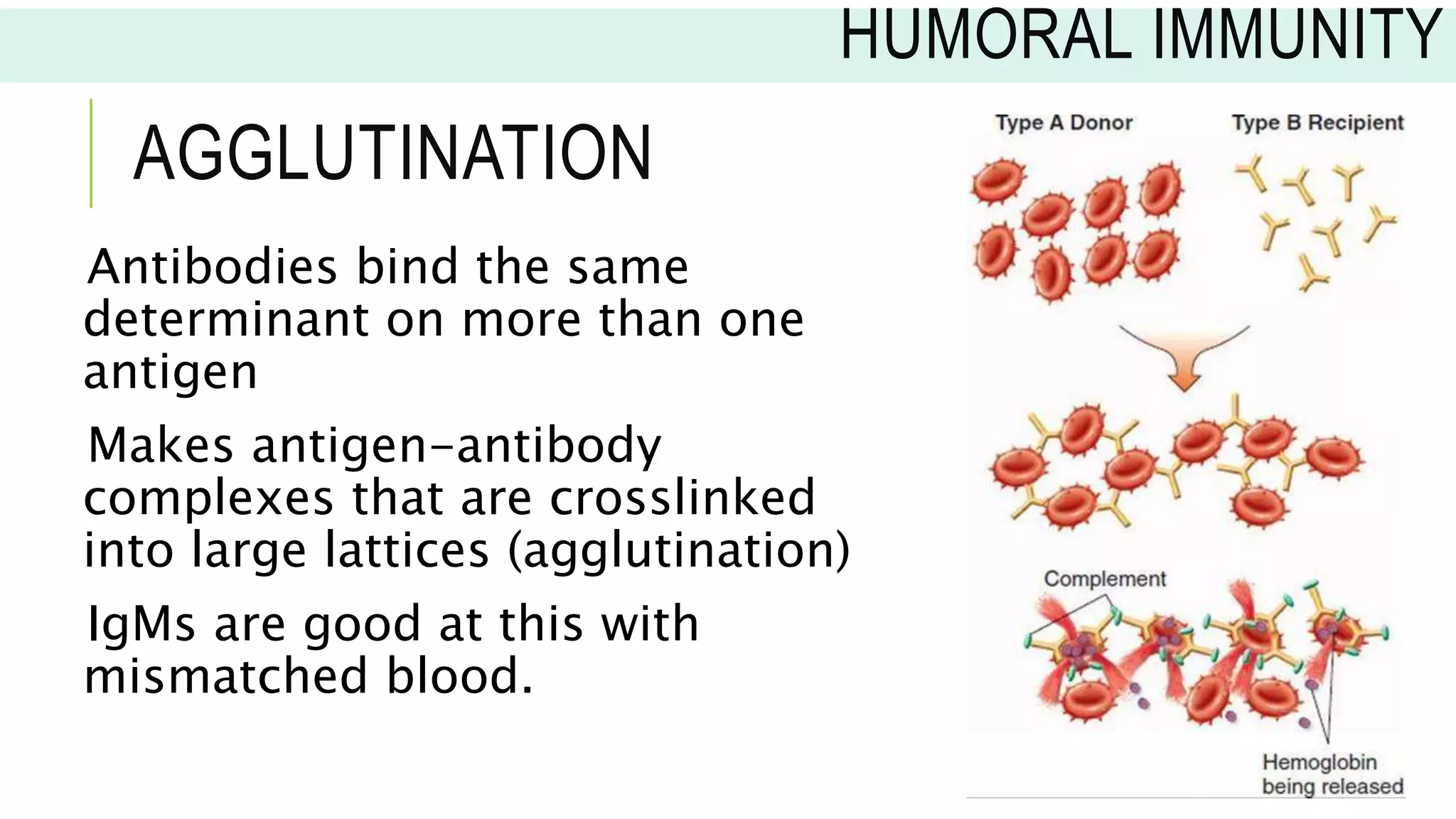 TOPIC 1 INTRODUCTION TO IMMUNOLOGY.pptx