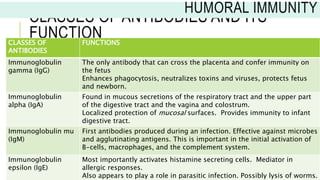 CLASSES OF ANTIBODIES AND ITS
FUNCTION
CLASSES OF
ANTIBODIES
FUNCTIONS
Immunoglobulin
gamma (IgG)
The only antibody that can cross the placenta and confer immunity on
the fetus
Enhances phagocytosis, neutralizes toxins and viruses, protects fetus
and newborn.
Immunoglobulin
alpha (IgA)
Found in mucous secretions of the respiratory tract and the upper part
of the digestive tract and the vagina and colostrum.
Localized protection of mucosal surfaces. Provides immunity to infant
digestive tract.
Immunoglobulin mu
(IgM)
First antibodies produced during an infection. Effective against microbes
and agglutinating antigens. This is important in the initial activation of
B-cells, macrophages, and the complement system.
Immunoglobulin
epsilon (IgE)
Most importantly activates histamine secreting cells. Mediator in
allergic responses.
Also appears to play a role in parasitic infection. Possibly lysis of worms.
HUMORAL IMMUNITY
 