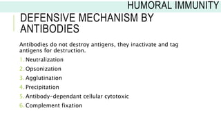 DEFENSIVE MECHANISM BY
ANTIBODIES
Antibodies do not destroy antigens, they inactivate and tag
antigens for destruction.
1. Neutralization
2. Opsonization
3. Agglutination
4. Precipitation
5. Antibody-dependant cellular cytotoxic
6. Complement fixation
HUMORAL IMMUNITY
 