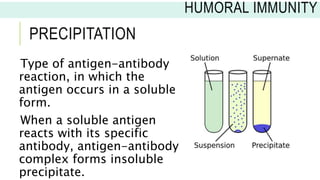 PRECIPITATION
Type of antigen-antibody
reaction, in which the
antigen occurs in a soluble
form.
When a soluble antigen
reacts with its specific
antibody, antigen-antibody
complex forms insoluble
precipitate.
HUMORAL IMMUNITY
 
