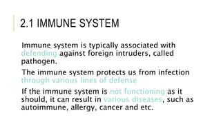 2.1 IMMUNE SYSTEM
Immune system is typically associated with
defending against foreign intruders, called
pathogen.
The immune system protects us from infection
through various lines of defense
If the immune system is not functioning as it
should, it can result in various diseases, such as
autoimmune, allergy, cancer and etc.
 