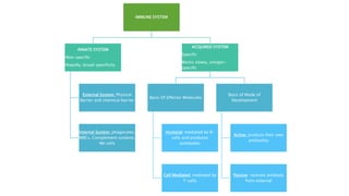 IMMUNE SYSTEM
INNATE SYSTEM
•Non specific
•Rapidly, broad specificity
External System: Physical
Barrier and chemical barrier
Internal System: phagocytes,
WBCs, Complement systems,
NK cells
ACQUIRED SYSTEM
Specific
Works slowly, antigen-
specific
Basis Of Effector Molecules
Humoral: mediated by B-
cells and produces
antibodies
Cell Mediated: mediated by
T-cells
Basis of Mode of
Development
Active: produce their own
antibodies
Passive: receives antibody
from external
 