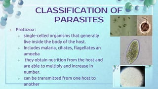 1. Protozoa :
○ single-celled organisms that generally
live inside the body of the host.
○ Includes malaria, ciliates, flagellates an
amoeba
○ they obtain nutrition from the host and
are able to multiply and increase in
number.
○ can be transmitted from one host to
another
CLASSIFICATION OF
PARASITES
 