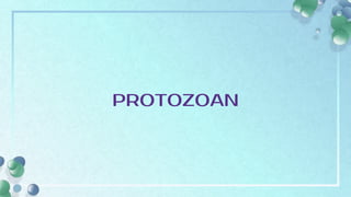 PROTOZOAN
 