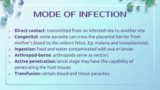 1. Direct contact: transmitted from an infected site to another site
2. Congenital: some parasite can cross the placental barrier from
mother’s blood to the unborn fetus. Eg: malaria and toxoplasmosis
3. Ingestion: food and water contaminated with ova or larvae
4. Arthropod-borne: arthropods serve as vectors
5. Active penetration: larval stage may have the capability of
penetrating the host tissues
6. Transfusion: certain blood and tissue parasites.
MODE OF INFECTION
 