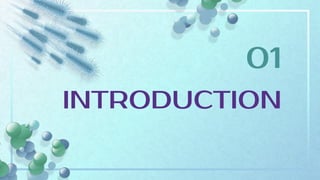 INTRODUCTION
01
 