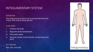 Integument Def TOPIC 1 INTRODUCTION TO PHYSIOLOGY.pptx