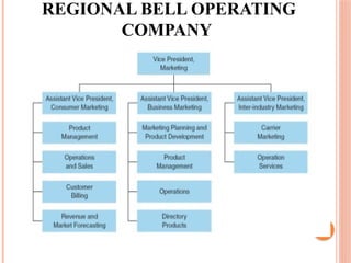 Comprehensive Introduction to Product Management: Roles, Organizations ...