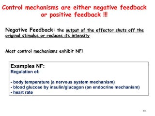 Negative Feedback: the output of the effector shuts off the
original stimulus or reduces its intensity
Most control mechanisms exhibit NF!
Control mechanisms are either negative feedback
or positive feedback !!!
Examples NF:
Regulation of:
- body temperature (a nervous system mechanism)
- blood glucose by insulin/glucagon (an endocrine mechanism)
- heart rate
49
 