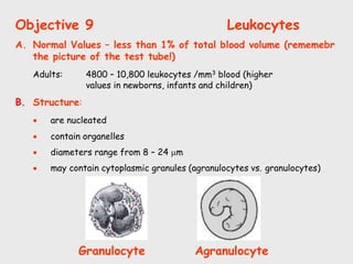 Objective 9 Leukocytes
A. Normal Values – less than 1% of total blood volume (rememebr
the picture of the test tube!)
Adults: 4800 – 10,800 leukocytes /mm3 blood (higher
values in newborns, infants and children)
B. Structure:
 are nucleated
 contain organelles
 diameters range from 8 – 24 m
 may contain cytoplasmic granules (agranulocytes vs. granulocytes)
Granulocyte Agranulocyte
 
