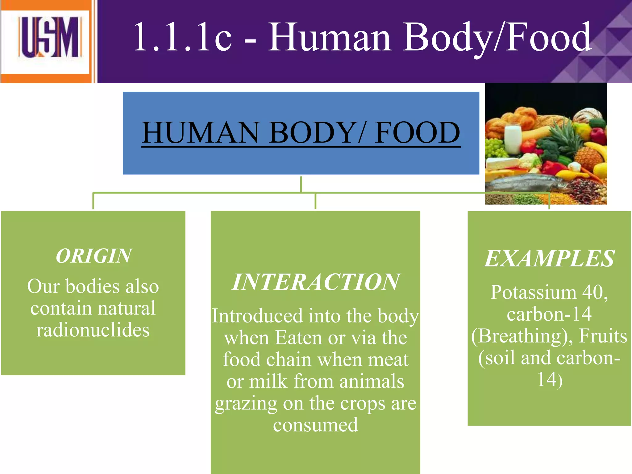 1.1.1c - Human Body/Food
HUMAN BODY/ FOOD
ORIGIN
Our bodies also
contain natural
radionuclides
INTERACTION
Introduced into the body
when Eaten or via the
food chain when meat
or milk from animals
grazing on the crops are
consumed
EXAMPLES
Potassium 40,
carbon-14
(Breathing), Fruits
(soil and carbon-
14)
 