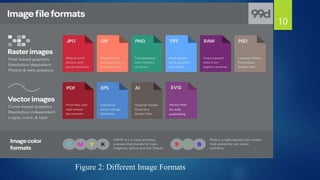 Figure 2: Different Image Formats
10
 