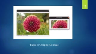 Figure 3: Cropping An Image
15
 