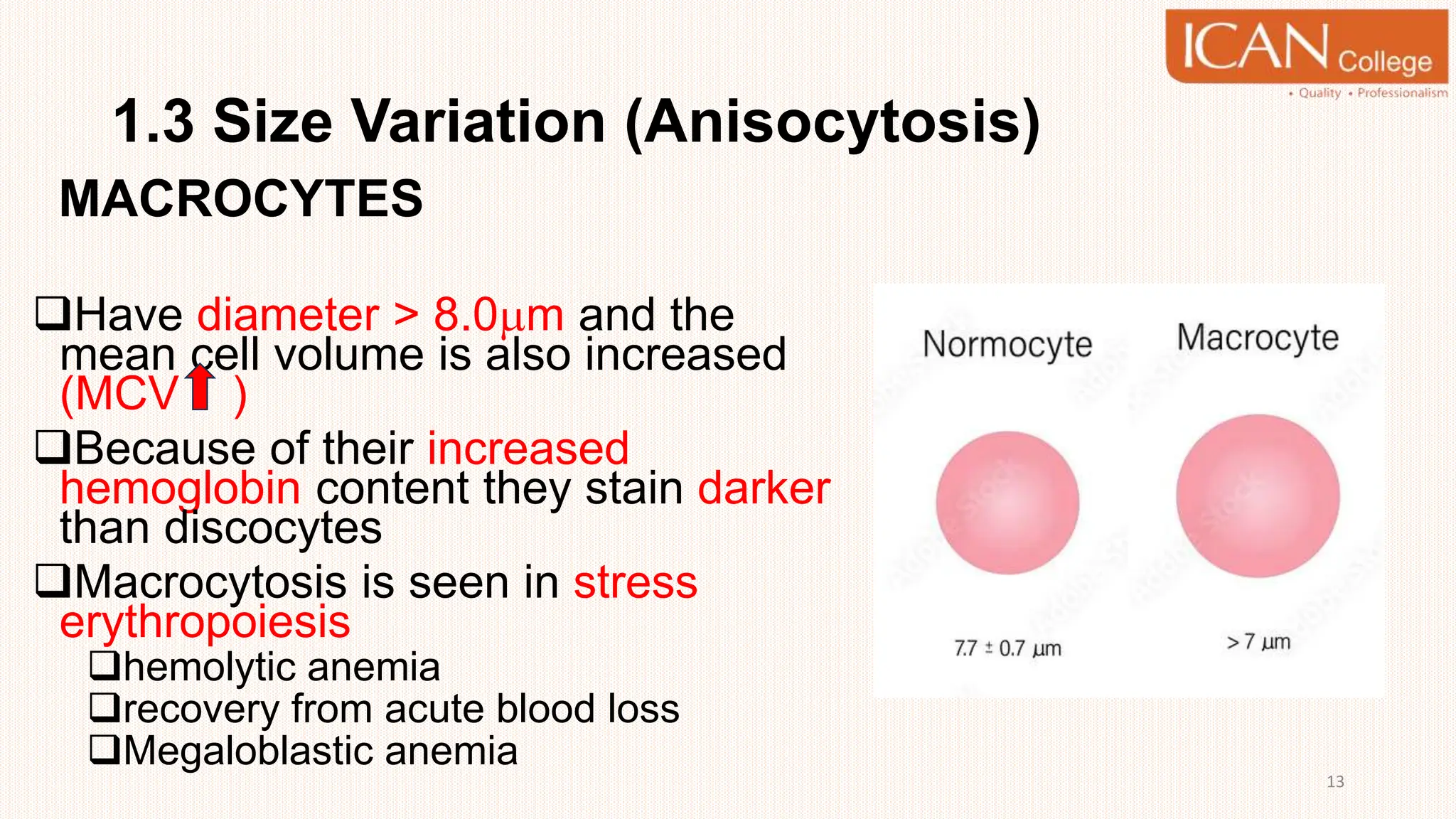 TOPIC 1 HEMATOLOGY RED CELL MORPHOLOGY STUDY.pptx