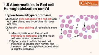 1.5 Abnormalities in Red cell
Hemoglobinization cont’d
Hyperchromia/Hyperchromasia
Because over-saturation of a red cell can
not take place, true hyperchromia does
not exist
Usually, deep staining of red cells is seen
in:
Macrocytosis when the red cell
thickness is increased and the mean
cell volume also increased
Spherocytes in which the red cell
thickness is greater than normal and
the mean cell hemoglobin concentration
is slightly increased
45
 