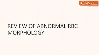REVIEW OF ABNORMAL RBC
MORPHOLOGY
 