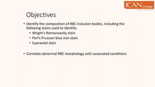 Objectives
• Identify the composition of RBC inclusion bodies, including the
following stains used to identify:
• Wright’s Romanowsky stain
• Perl’s Prussian blue iron stain
• Supravital stain
• Correlate abnormal RBC morphology with associated conditions
 