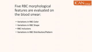 Five RBC morphological
features are evaluated on
the blood smear:
• Variations in RBC Size**
• Variations in RBC Color
• Variations in RBC Shape
• RBC Inclusions
• Variations in RBC Distribution/Pattern
 